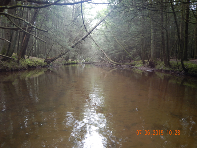 DSCN0525.jpg -                                