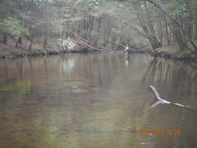 DSCN0526.jpg -                                