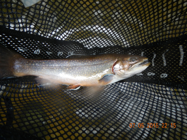 DSCN1543.jpg -                                