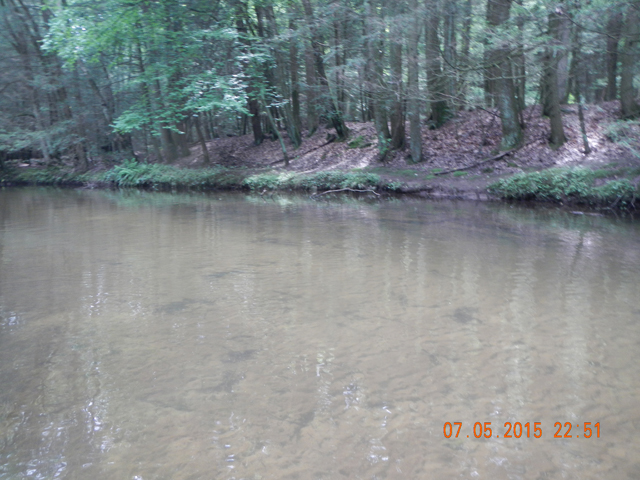 DSCN1545.jpg -                                