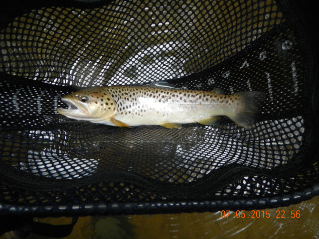 DSCN1546.jpg -                                