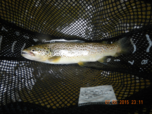 DSCN1547.jpg -                                