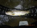 DSCN1547
