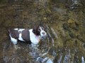 DSC00216001