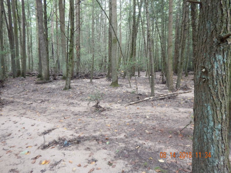 $Clarks Creek-003$.jpg - A view of the side of the stream.  The forest floor had been washed clean by the flood waters for at least 50 yards from the stream.
