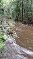 $Clarks Creek-016$