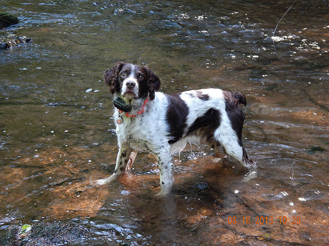 DSCN0011.jpg -                                Enjoying the day on the stream
