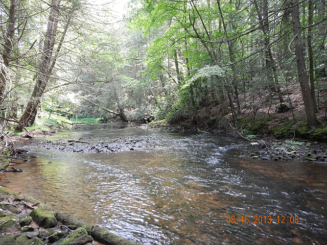 DSCN0014.jpg -                                Clarks is still one beautiful stream!