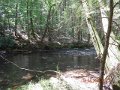 DSCN0016