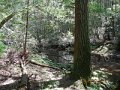 DSCN0017