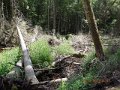 DSCN0020