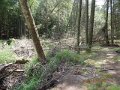 DSCN0021