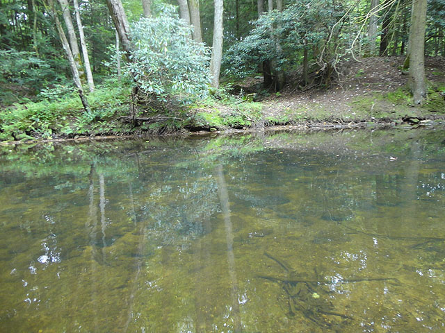 DSC01113.jpg -                                Water is deep and slow.