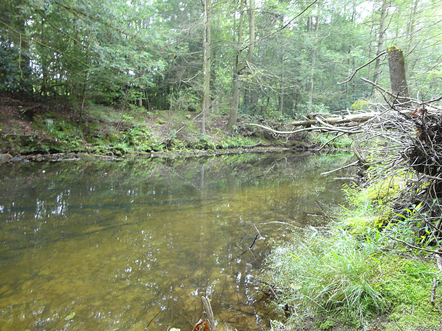 DSC01114.jpg - And, did I mention CLEAR?                               
