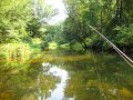 DSC01084