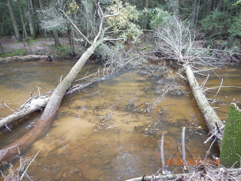 $Clarks Creek-003$.jpg - Here are more.  The water seems to be getting by OK for now.  We shall see.