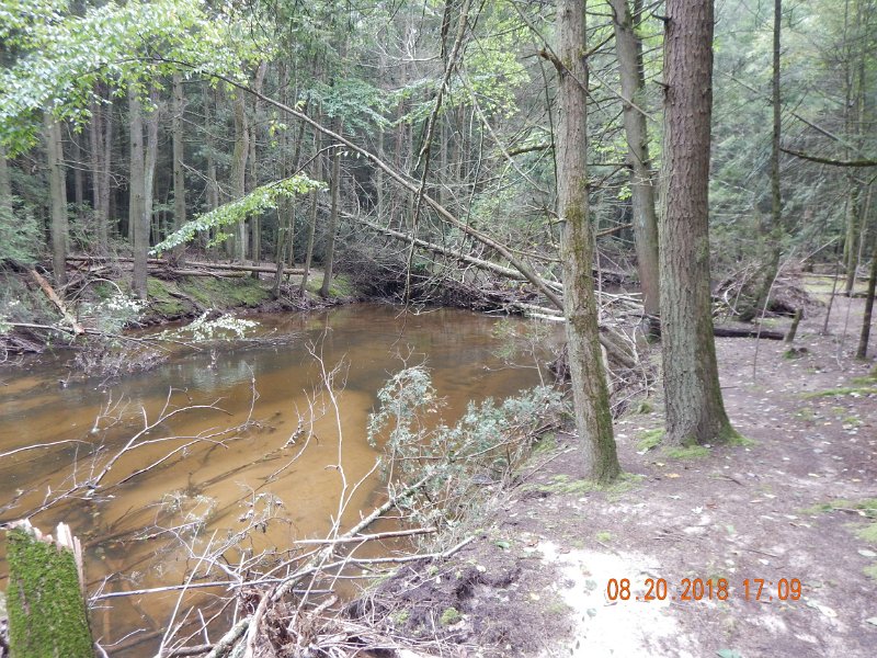 $Clarks Creek-004$.jpg - Here's a pic of the slack stretch looking down stream.  Where there were trees in the stream, the high water removed them.  Then in places where there wasn't any obstructions, the high water knocked new trees into the stream.