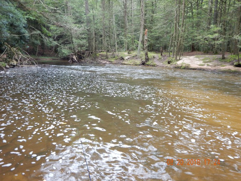 $Clarks Creek-006$.jpg - End of the run above the slack stretch.  Got one brown from here.