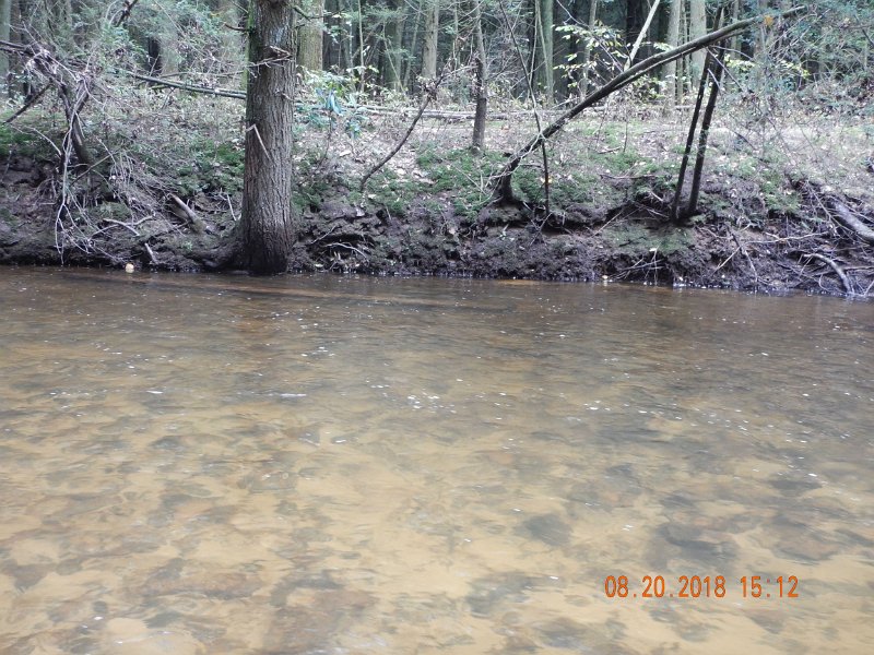 $Clarks Creek-010$.jpg - Got a little trout from this spot.  End of the submerged log on the other side of the stream.