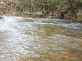 $Clarks Creek-009$
