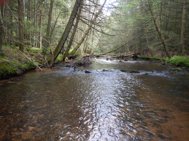 DSCN0429.jpg -                                Water was low and clear