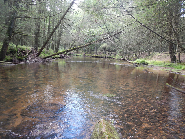 DSCN0430.jpg -                                Still a beautiful stream.  