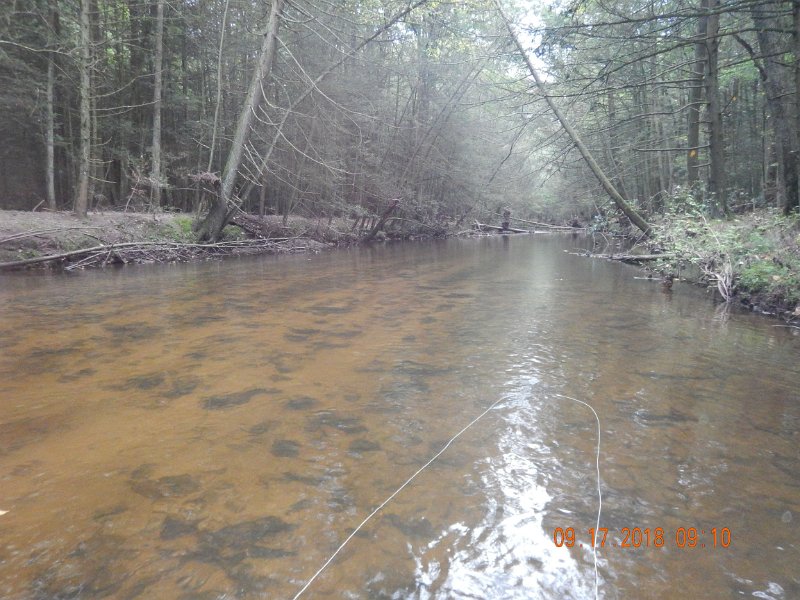 $ClarksCreek002$.jpg - Looking down stream.  Water levels ideal considering this is the day we are supposed to get the tail end of tropical storm Florence.