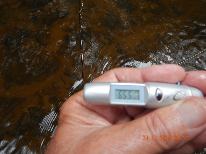 $ClarksCreek003$.jpg - Took a check of the water temps...WOW.  65.5 degrees surface temp.  OK for trout fishing.