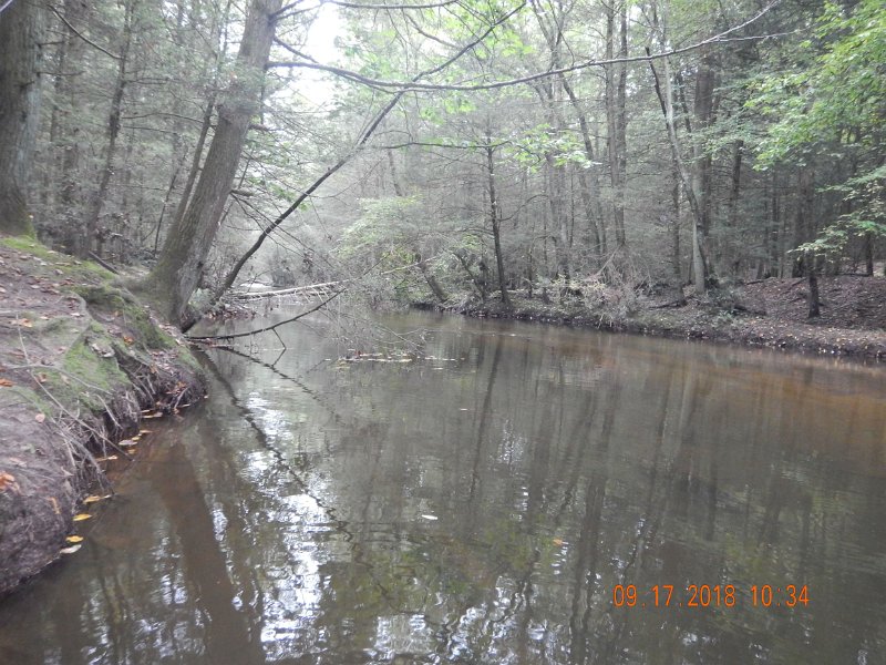 $ClarksCreek006$.jpg - Stream has changed.  Some changes are good and some not so good.