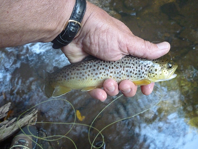 P1000384.JPG