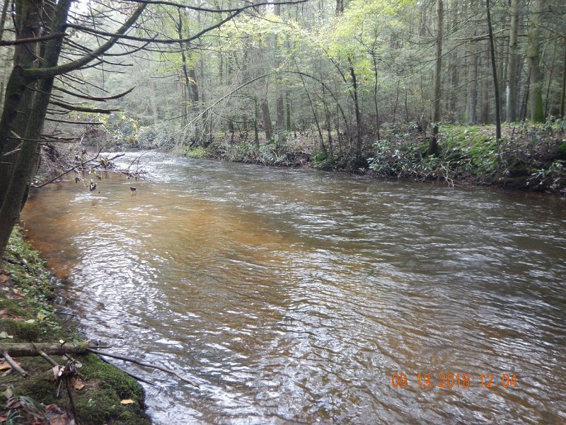 $ClarksCreek001$.jpg - Just one day of rain and Clarks is swollen again. 