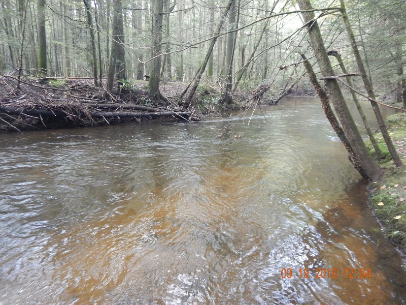 $ClarksCreek002$.jpg - Second guessing my decision to wear waist waders....shoulda brought the chest highs.