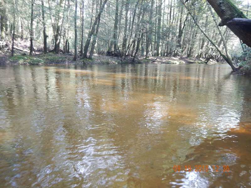$ClarksCreek004$.jpg - Getting across the stream requires caution.
