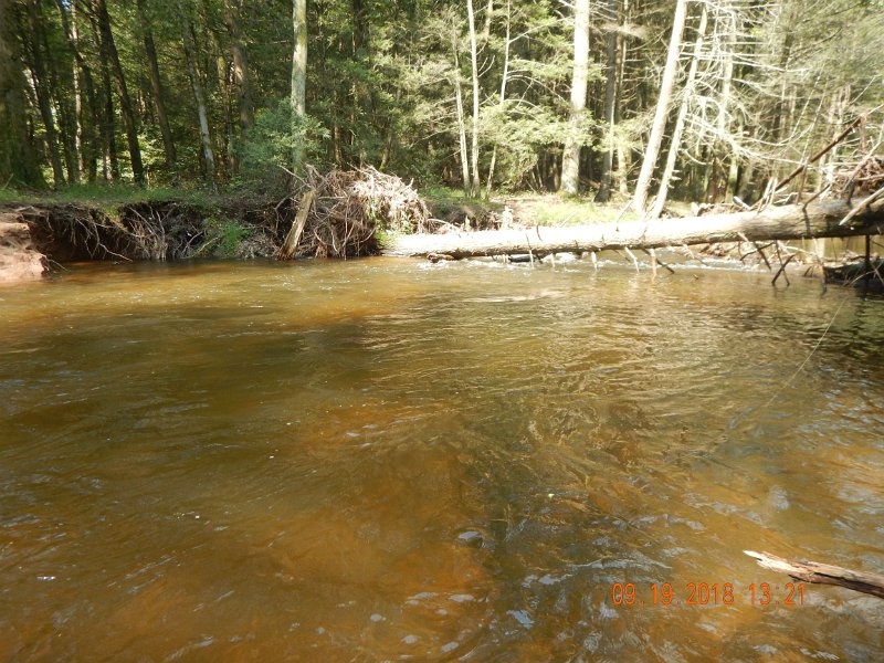 $ClarksCreek009$.jpg - Here's where that fish came from.