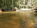 $ClarksCreek009$