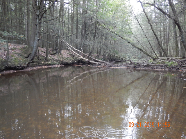 DSCN0616.jpg -                                The water is still low and clear.  Bugs were few..except for midges.  