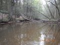 DSCN0616