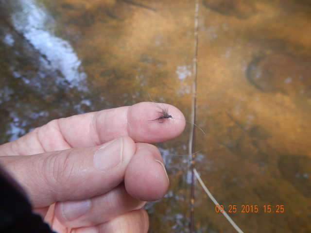 DSCN0634.jpg -                       This is the one I had the most luck with.  Only problem is that a couple of trout got off or stole my fly.         