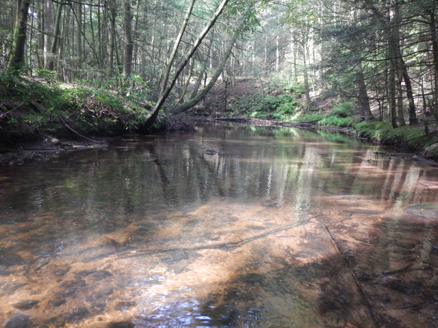 DSCN0461.jpg -                            Water temp was about 66 degrees.     