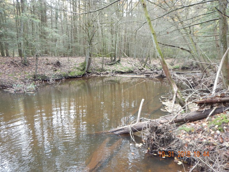 $Clarks001$.jpg - But, the water was off color...tanic in color.  Thought I was back in the Poconos. And, the fish were really spread out.