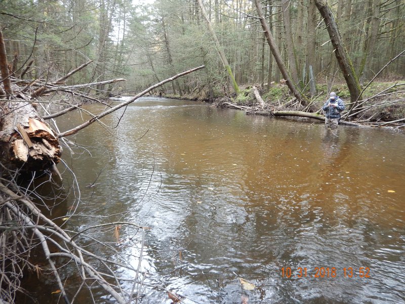 $Clarks005$.jpg - Gary on the opposite side of the stream.