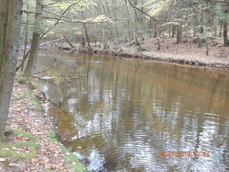 $Clarks016$.jpg - Water in the low 50's, stream just stocked on Oct 24 and air temps in the 60's....should have been a banner day.  Should have....