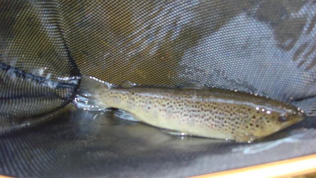 DSC02552.JPG