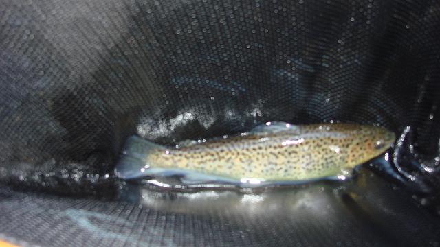 DSC02555.JPG