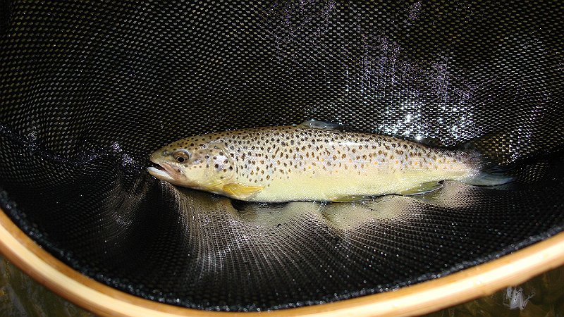 DSC02707.JPG