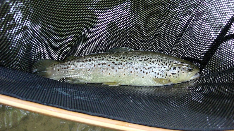 DSC02714.JPG