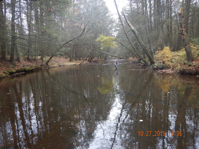 DSCN0779.jpg -                                Water was in good shape but the air was cool and damp.