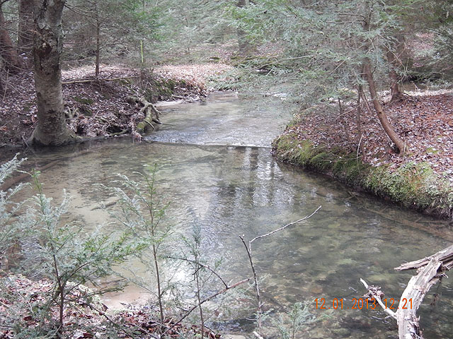 DSCN0262.jpg -                                Pretty part of the stream.  Starting to see some sand on the bottom.