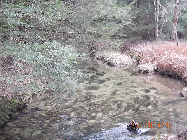 DSCN0263.jpg -                                Temps never got out of the 30's.  Water temp was in the mid 40's.