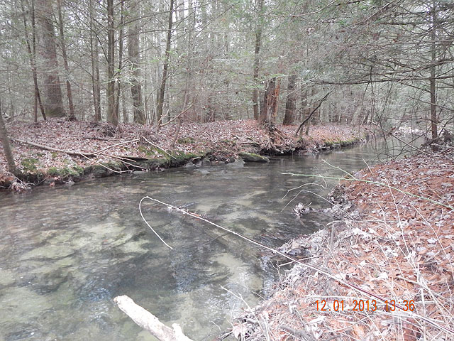 DSCN0268.jpg -                                Stream was a little narrower than the lower creek but still worth wetting a line.